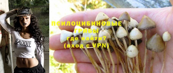 a pvp Балабаново