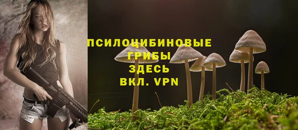 дживик Баксан