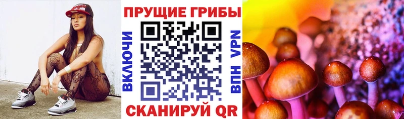 Купить закладки  Грязи  Псилоцибиновые грибы мухоморы 